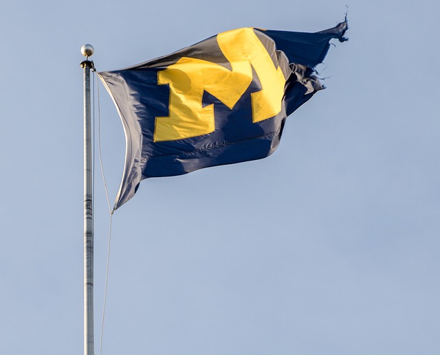 球迷以